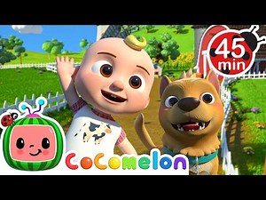 Bingo Show Me The Way! | Cocomelon 🍉 | Kids Learning Songs! | Sing Along Nursery Rhymes 🎶