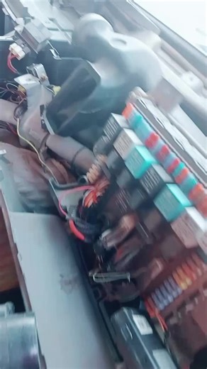 Video của ruba3063 (@ruba3063) với bản nhạc nhạc nền - quangdang99bn