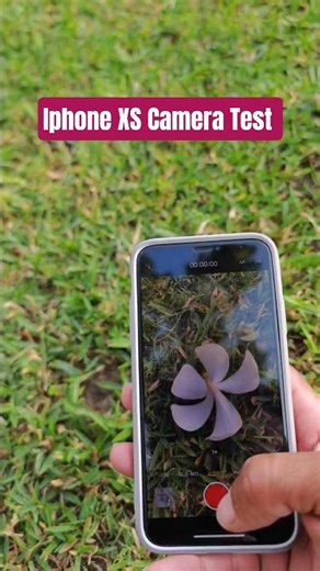 Iphone Xs Camera Test