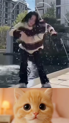 Funny Human Fails Compilation Hilarious Animals Getting Into Trouble Must See Moments! #205