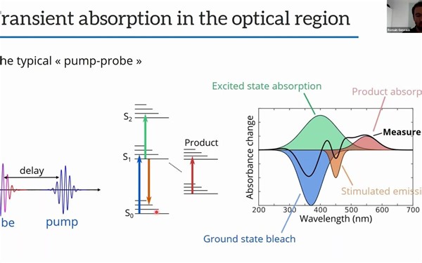 Transient Absorption and Reflectivity by Romain Geneaux (CEA-CNRS)