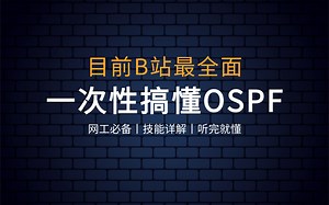 08 OSPF 的基础实验复习