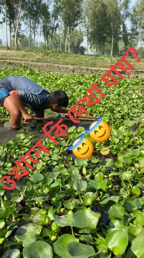 #fishinglife #fishing #fitness #fish #foryou