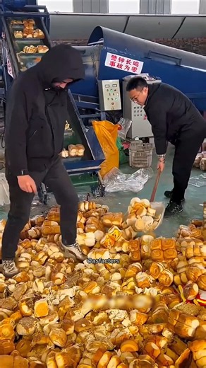 How Expired Food Is Recycled In China