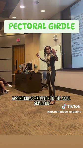 Understanding Pectoral and Pelvic Girdles in Anatomy