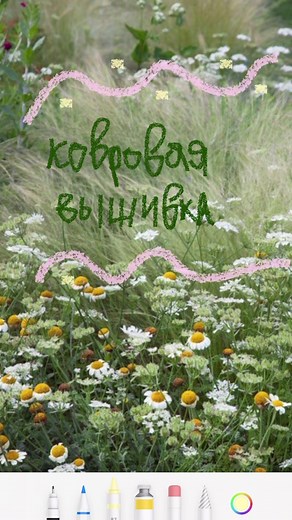 вичка гавшина op TikTok