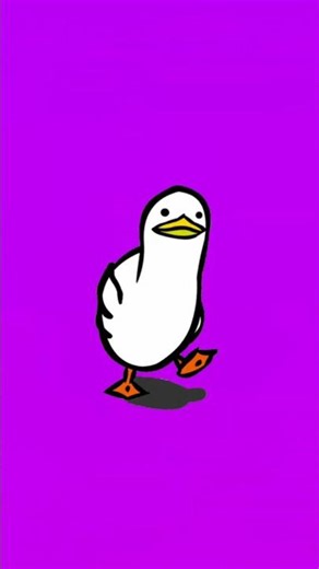 Dancing duck #duck #funny #meme