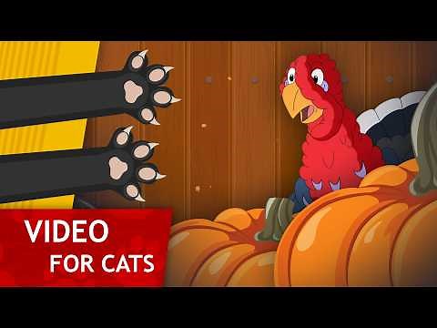 Cat Games - Coward Turkey (Thanksgiving Day video for cats to watch) 4K