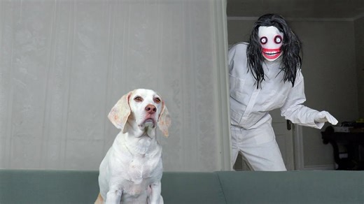 Mischievous Maymo Befriends Jeff the Killer in Prank