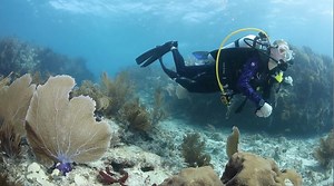 40K views · 319 reactions | Experience the thrill and excitement of scuba diving and become a NAUI Scuba Diver. [Sponsored] | Boating Magazine | Facebook