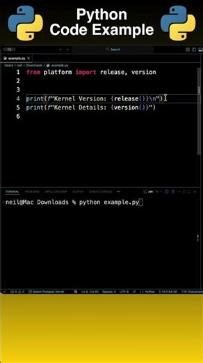Python: Get the Operating System Kernel Information