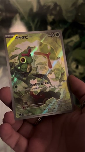 IT’S CATERPIE 😍 the artwork on this card is stunning! #pokemon #pokemoncards #caterpie #pokemoncommunity