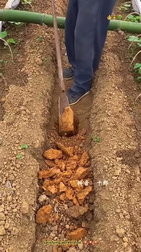Using SIMPLE gardening TOOL to DIG holes EFFICIENTLY ! 🌿