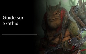 Guide sur Skathix artefact et maîtrise
