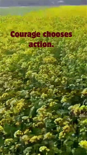 Doubt whispers.Course answer🩸✌️#USAviralshorts#motivational mind set#nothingimposibleinthisworld.