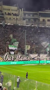 Gate 13, Panathinaikos | Hooligans Style