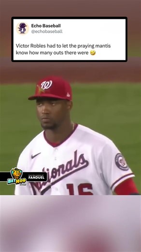 He told the praying mantis how many outs there were 🤣 #baseball #umpire #ejected #sports #fyp