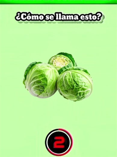 Spanish Vocabulary Test Challenge