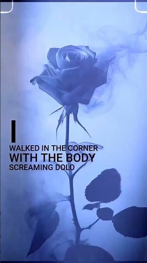 Roses SAINt JHN Imanbek remix lyrics #lyrics #edm #remix #imanbek