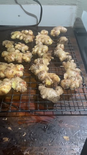 🫚👍 The Right Way To Harvest Ginger