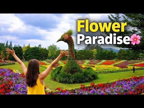 Indonesia’s Most Beautiful Garden