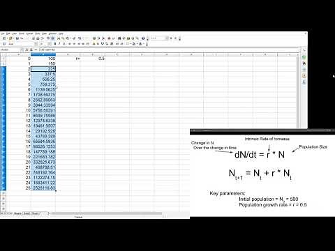 Building a very basic exponential population model in Excel