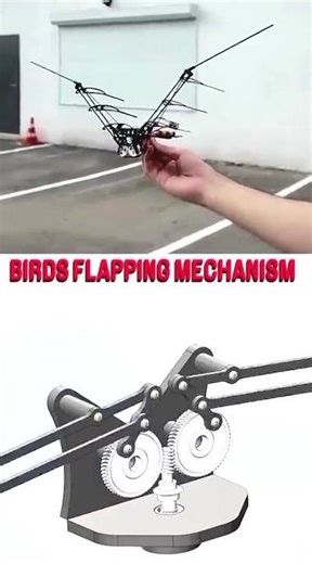 Ornithopter Wing | Flying Bird Mechanism ✅ #robotics #mechanical #mechanism #flyingbird #cadcam #3d