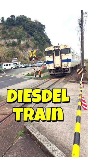 Diesel Train【キハ47】 KiHa47 Passing【貝底踏切】 Kaizoko Crossing 🚃#shorts