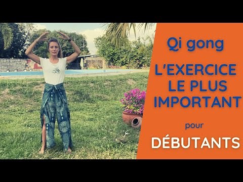 Qi gong Débutant - l'exercice "le plus important"