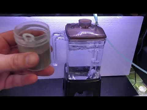 ZH2000 Brine Shrimp Hatchery - Review of Ziss Aqua Artemia Blender