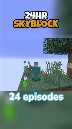 24 Hours On Skyblock, 1 Hour Per Episode