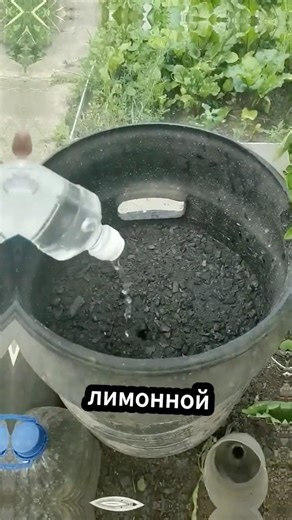 Making ash 100 times more effective #dacha #fertilizer #recipe #garden #vegetable garden #gardeni...