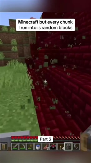 Minecraft: Random Blocks in Every Chunk Challenge