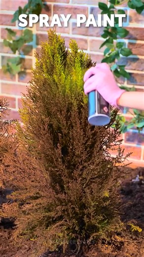 Simple plant hacks to grow a perfect garden | 5-Minute Crafts