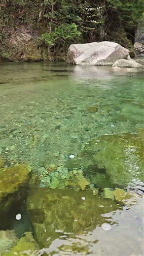 GW、結局こういうとこが一番いい。#絶景 #岐阜観光 #絶景スポット #癒し #岐阜 #nature #板取キャンプ場