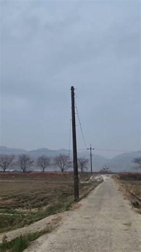 🚨 이건 사고가 아니라 "구조적 살인"이다.🚧 농로? 아니다… 죽음의 도로다.🪚 행정이 안 하면, 내가 한다."