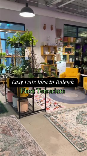 Easy Plant Terrarium Date Idea in Raleigh