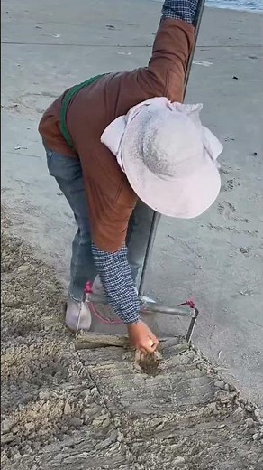 easy way to find shells on beach #beach #tips