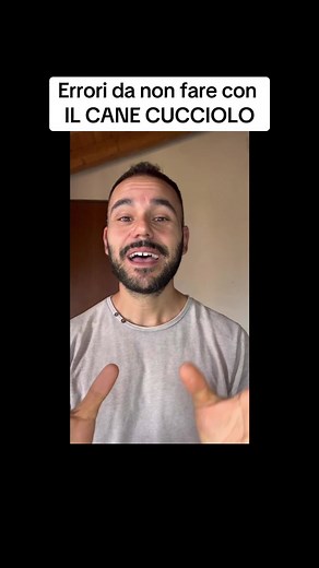 Errori da non fare con il cane cucciolo: Guida utile