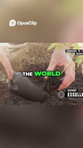 Rastafari: The Global Movement Born from Jamaican Struggle #shoets #selassie