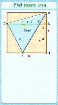 X - Ch:4 "Quadratic Equation" - Additional Qs