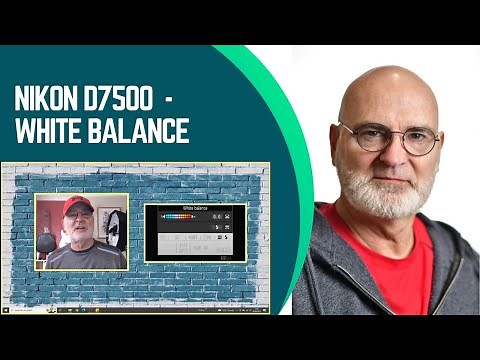 Nikon D7500 - White Balance settings