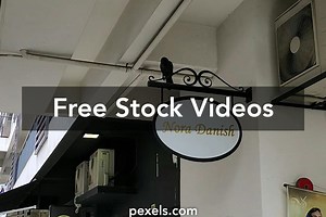 Cawing Videos, Download The BEST Free 4k Stock Video Footage & Cawing HD Video Clips