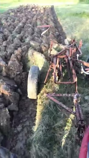 1954 Farmall Super M Plowing with Little Genius Plow