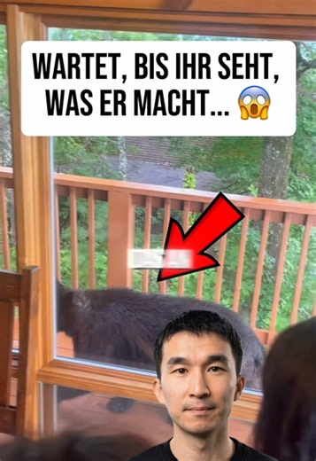 Schlaue Tiere: Warum sie sofort weglaufen, wenn sie Gefahr wittern