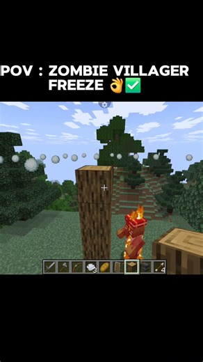 POV: Zombie Villager Thought I Was Dead 😈❄️ | Freeze Trap Minecraft