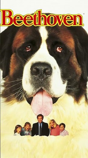Ultimate Dog Fame Showdown: Cujo vs. Beethoven - Cast Your Vote!" #shorts #poll #dogs