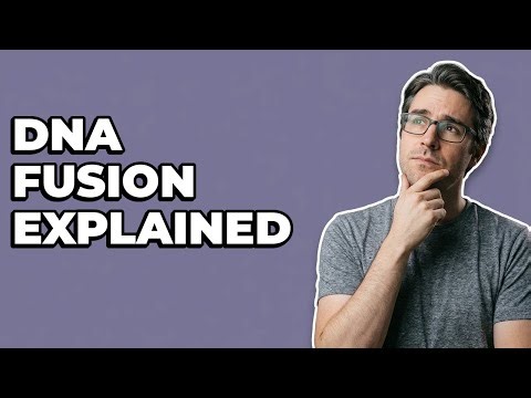 How Was Human And Animal DNA Combined In Splice?