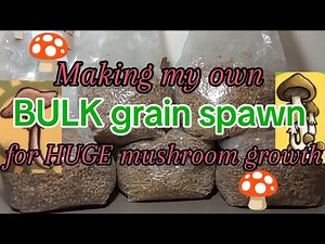 DIY bulk grain spawn recipe grain to grain