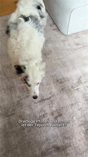 Haustiere und wunderschöne Teppiche? Mit Ruggable kein Problem. 🐾✨ Waschbar & alltagstauglich – kostenlose Lieferung inklusive. | Ruggable